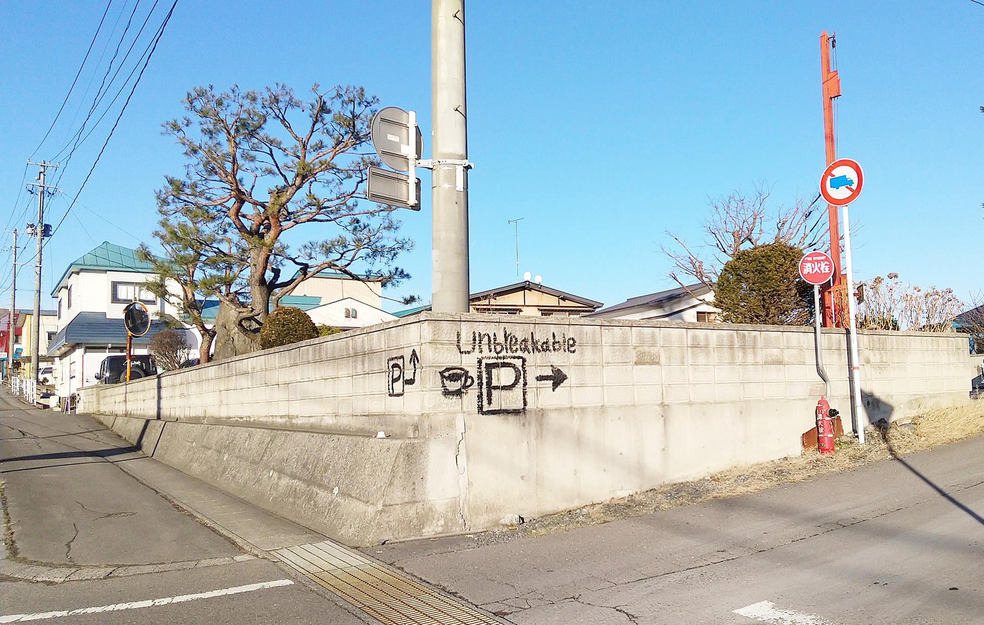 五戸方面から(2)